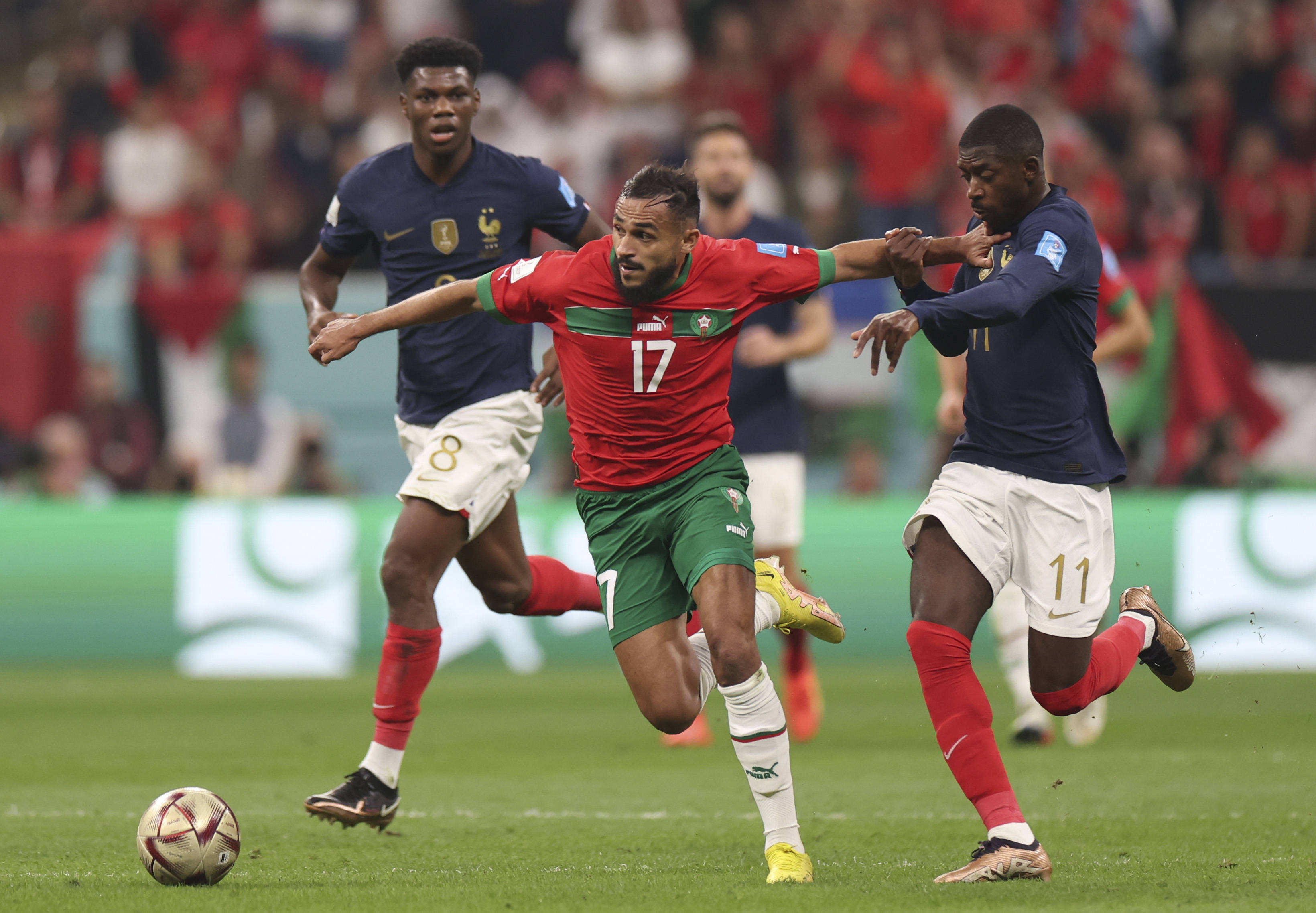 今年冲击更 今年冲击更