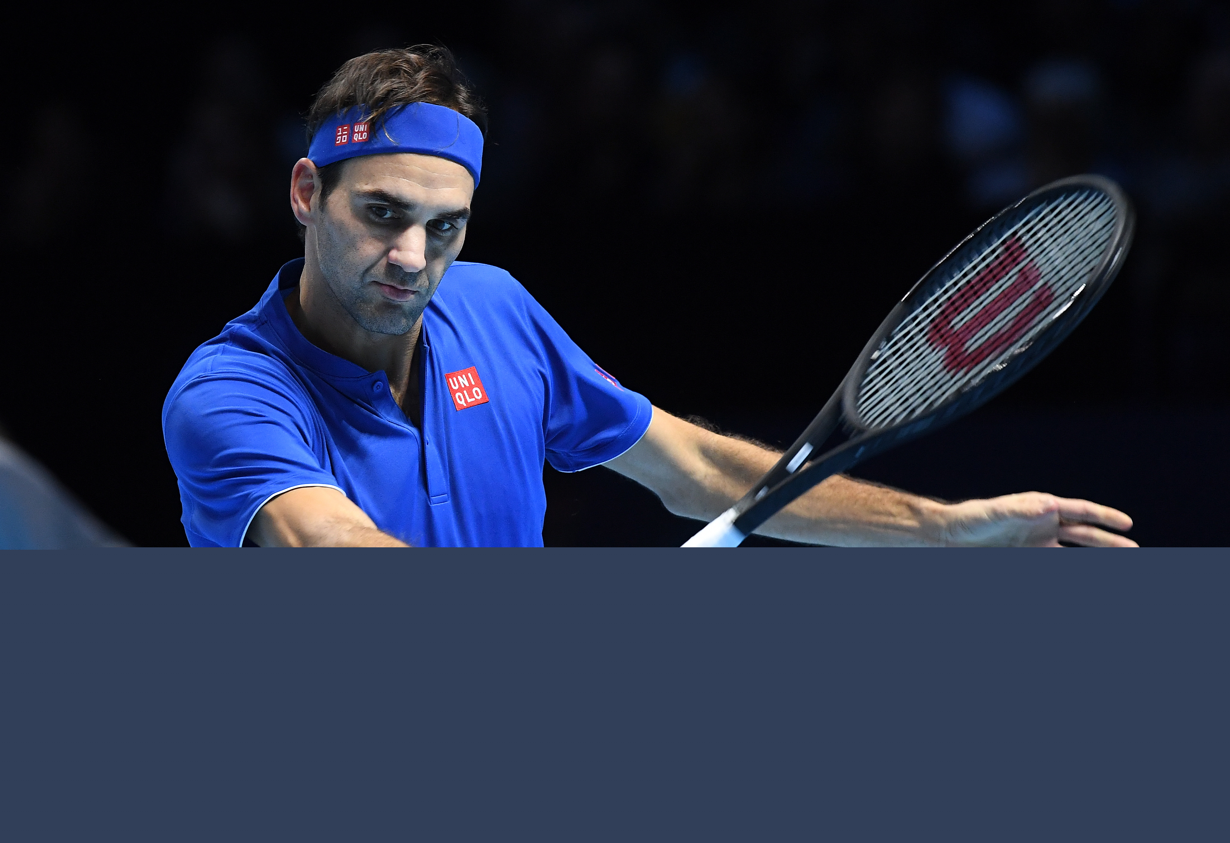 一只极地熊 一只极地熊