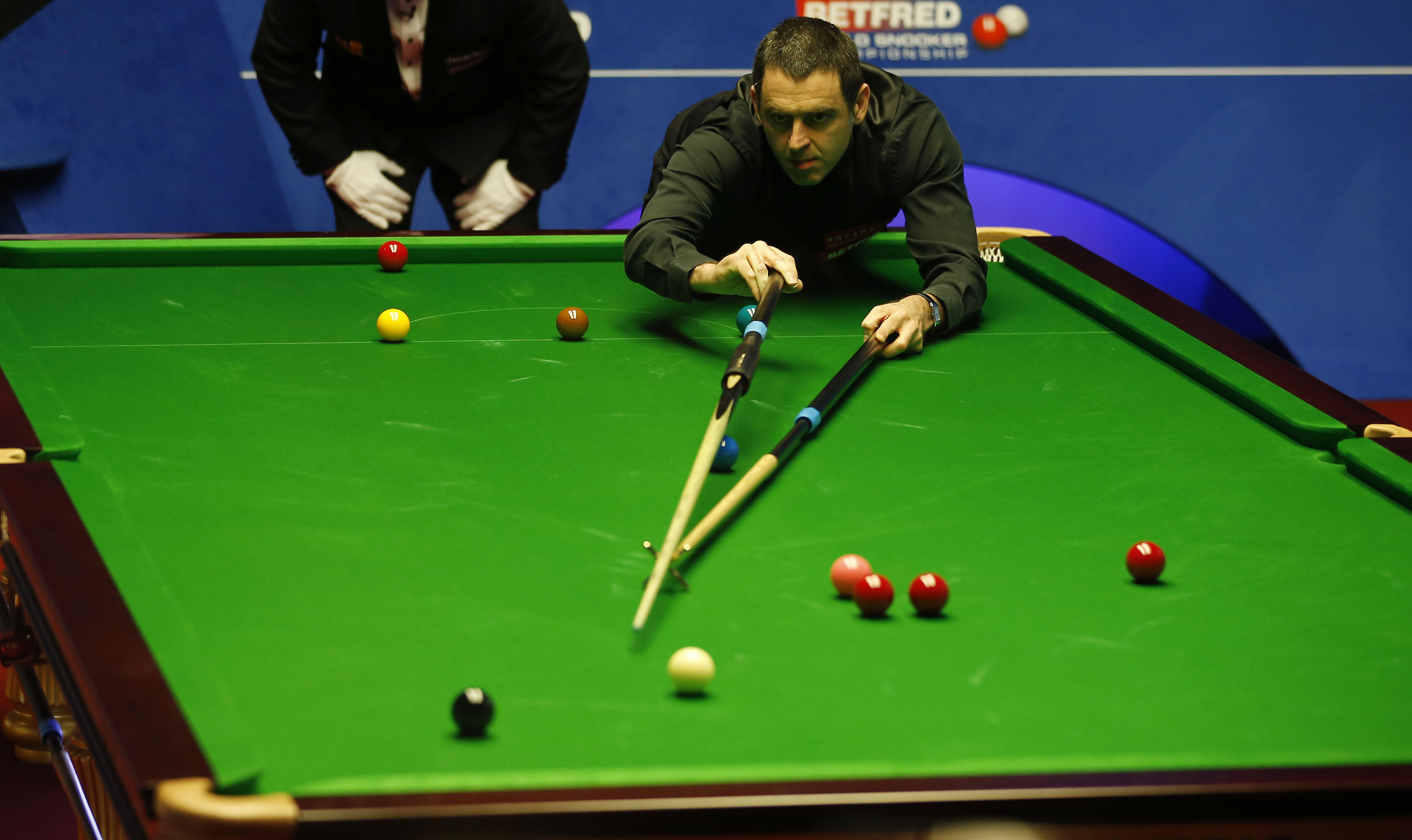 這不僅有助 這不僅有助