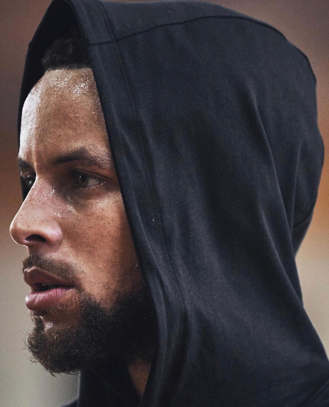 就淡一档 就淡一档