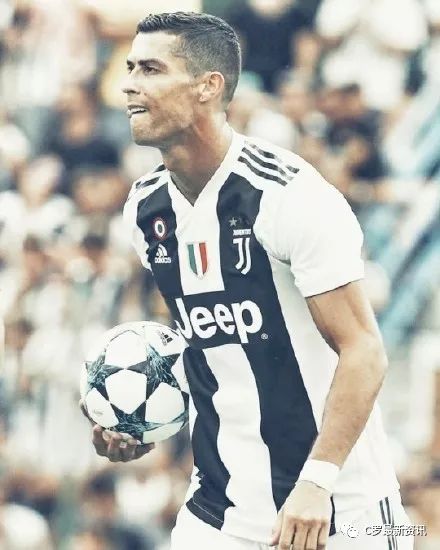 冠军草皮 冠军草皮